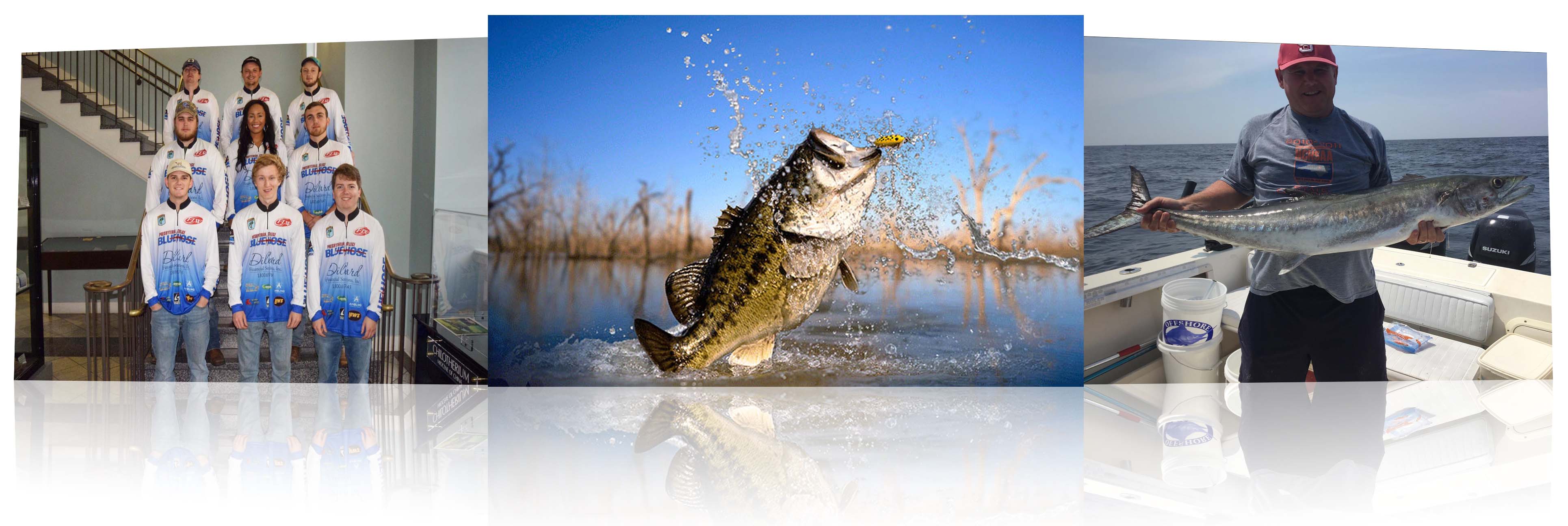 Fishing Dillard Sports Inc.